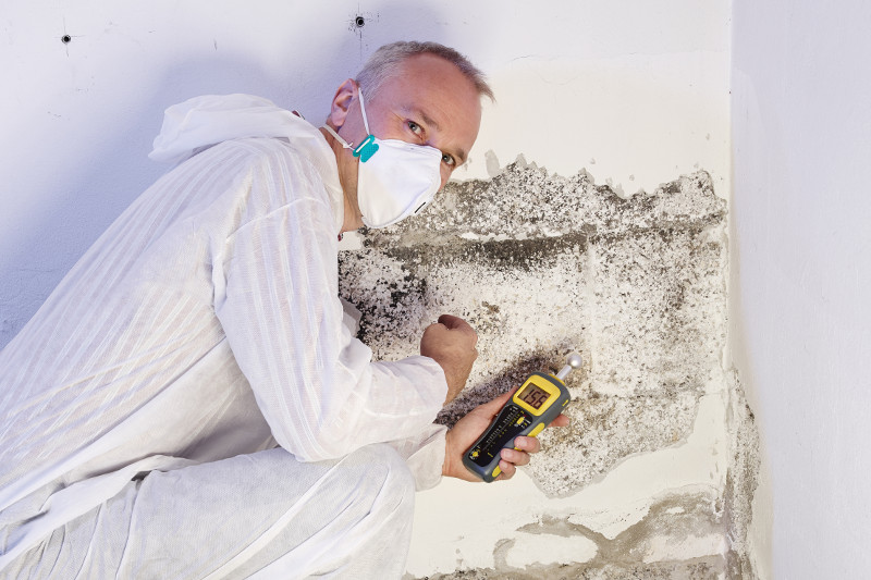 Expert en humidité © Shutterstock
